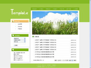 鈺婕婕婕 婕瑪網絡在ZCOOL上的企業官網展示與設計美學
